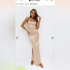 Formal Dress Champagne Likely Long Manhattan Dress Manhattan Slip